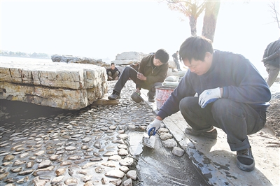 鹅卵石在环境建设中的应用