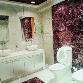 紫罗红大理石洗手间立面装饰