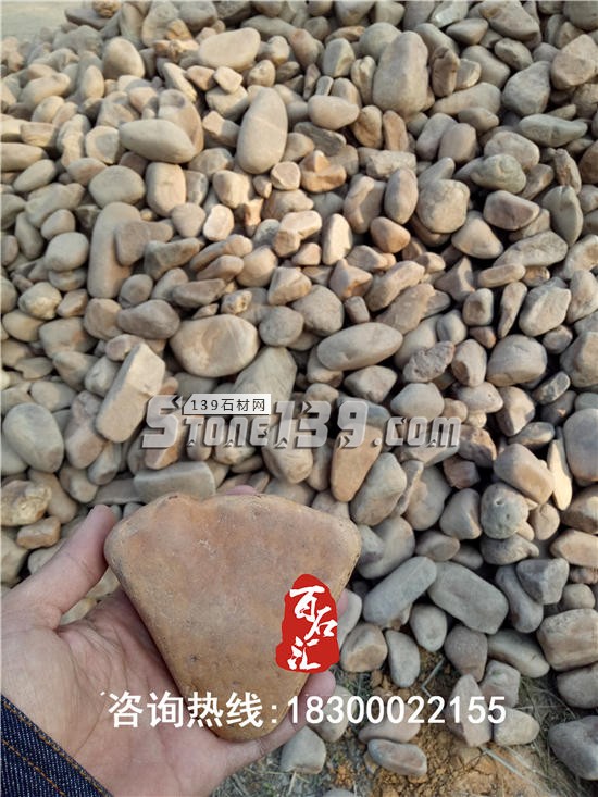 鹅卵石厂家直销铺路鹅卵石供应彩色鹅卵石