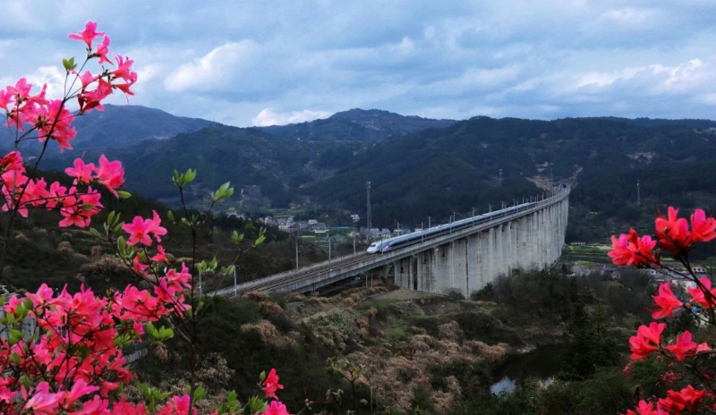 进川物流助力麻城争夺全国百强县市